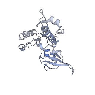 7532_6cnd_E_v1-2
Yeast RNA polymerase III natural open complex (nOC)
