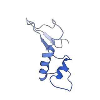 7532_6cnd_F_v1-2
Yeast RNA polymerase III natural open complex (nOC)