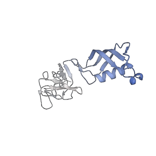 7532_6cnd_G_v1-2
Yeast RNA polymerase III natural open complex (nOC)