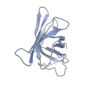 7532_6cnd_H_v1-2
Yeast RNA polymerase III natural open complex (nOC)