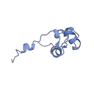 7532_6cnd_J_v1-2
Yeast RNA polymerase III natural open complex (nOC)