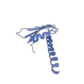 7532_6cnd_K_v1-2
Yeast RNA polymerase III natural open complex (nOC)
