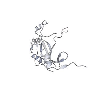 7532_6cnd_M_v1-2
Yeast RNA polymerase III natural open complex (nOC)