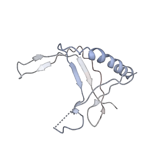 7532_6cnd_N_v1-2
Yeast RNA polymerase III natural open complex (nOC)