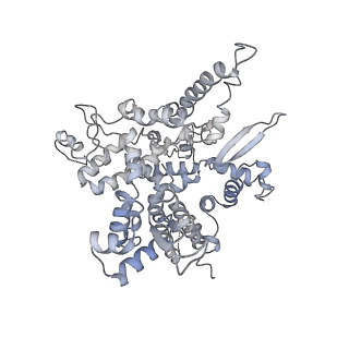 7532_6cnd_O_v1-2
Yeast RNA polymerase III natural open complex (nOC)