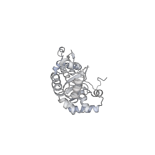 7532_6cnd_P_v1-2
Yeast RNA polymerase III natural open complex (nOC)