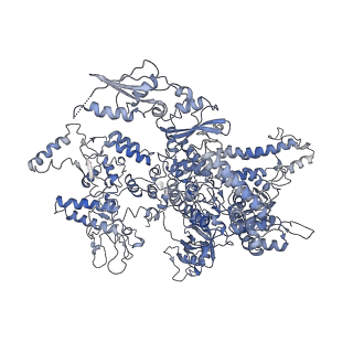 7533_6cnf_A_v1-2
Yeast RNA polymerase III elongation complex
