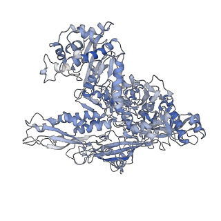 7533_6cnf_B_v1-2
Yeast RNA polymerase III elongation complex