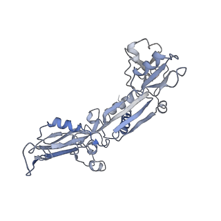 7533_6cnf_C_v1-2
Yeast RNA polymerase III elongation complex