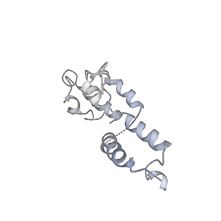 7533_6cnf_D_v1-2
Yeast RNA polymerase III elongation complex