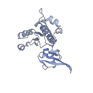 7533_6cnf_E_v1-2
Yeast RNA polymerase III elongation complex