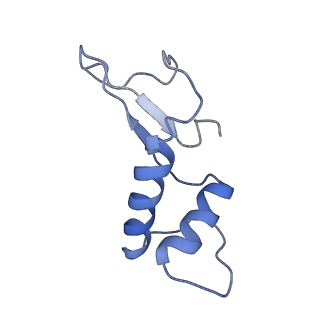 7533_6cnf_F_v1-2
Yeast RNA polymerase III elongation complex