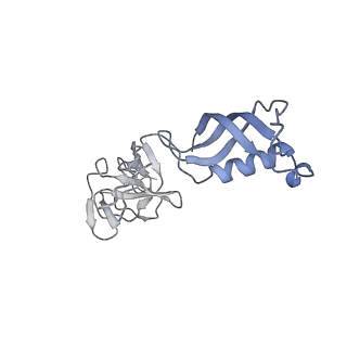 7533_6cnf_G_v1-2
Yeast RNA polymerase III elongation complex