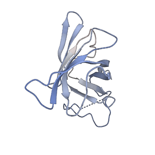 7533_6cnf_H_v1-2
Yeast RNA polymerase III elongation complex