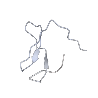 7533_6cnf_I_v1-2
Yeast RNA polymerase III elongation complex