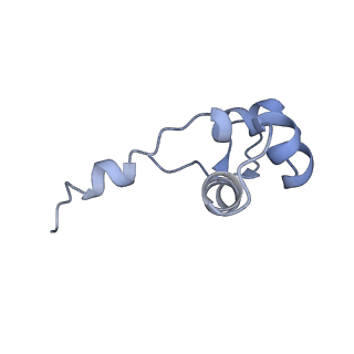 7533_6cnf_J_v1-2
Yeast RNA polymerase III elongation complex