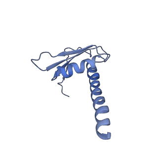 7533_6cnf_K_v1-2
Yeast RNA polymerase III elongation complex