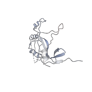 7533_6cnf_M_v1-2
Yeast RNA polymerase III elongation complex