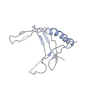7533_6cnf_N_v1-2
Yeast RNA polymerase III elongation complex