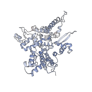7533_6cnf_O_v1-2
Yeast RNA polymerase III elongation complex