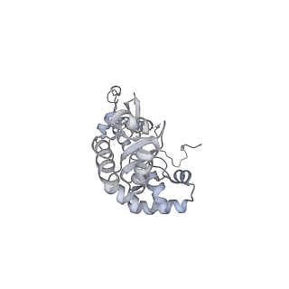 7533_6cnf_P_v1-2
Yeast RNA polymerase III elongation complex