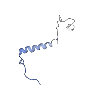 7533_6cnf_Q_v1-2
Yeast RNA polymerase III elongation complex