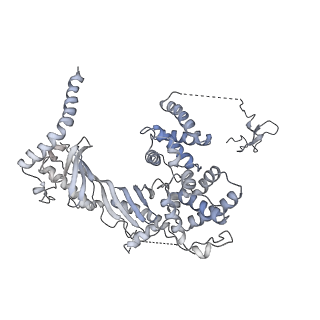 7533_6cnf_R_v1-2
Yeast RNA polymerase III elongation complex