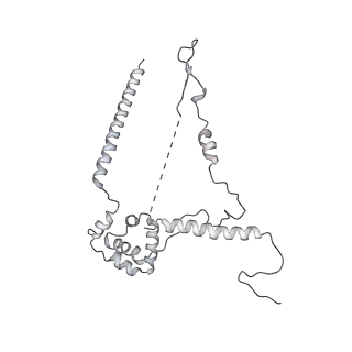 7533_6cnf_S_v1-2
Yeast RNA polymerase III elongation complex