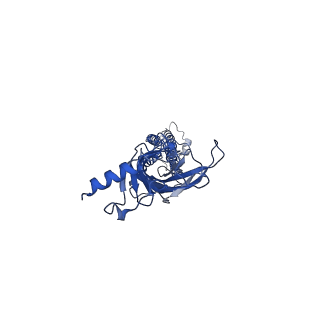 7535_6cnj_A_v1-7
Structure of the 2alpha3beta stiochiometry of the human Alpha4Beta2 nicotinic receptor
