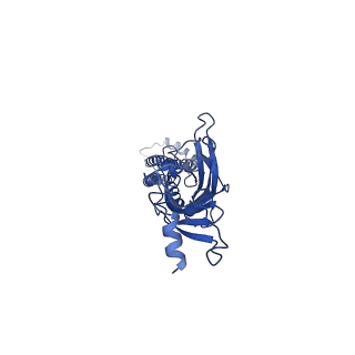 7535_6cnj_B_v1-7
Structure of the 2alpha3beta stiochiometry of the human Alpha4Beta2 nicotinic receptor