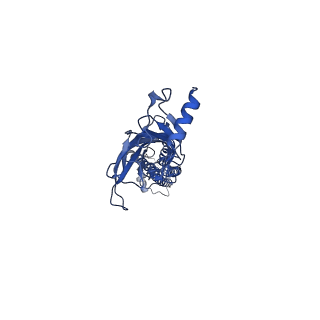 7535_6cnj_D_v1-7
Structure of the 2alpha3beta stiochiometry of the human Alpha4Beta2 nicotinic receptor