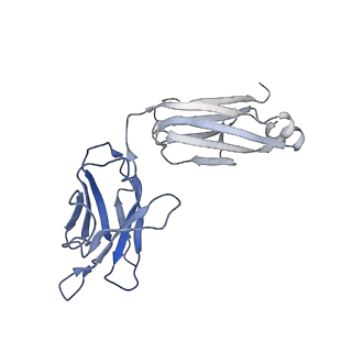 7535_6cnj_F_v1-7
Structure of the 2alpha3beta stiochiometry of the human Alpha4Beta2 nicotinic receptor