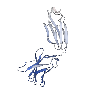 7535_6cnj_G_v1-7
Structure of the 2alpha3beta stiochiometry of the human Alpha4Beta2 nicotinic receptor
