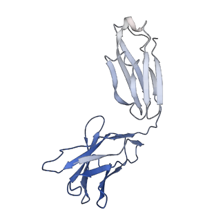 7535_6cnj_G_v2-0
Structure of the 2alpha3beta stiochiometry of the human Alpha4Beta2 nicotinic receptor