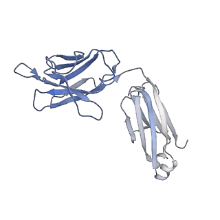 7535_6cnj_H_v1-7
Structure of the 2alpha3beta stiochiometry of the human Alpha4Beta2 nicotinic receptor