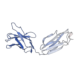 7535_6cnj_I_v1-7
Structure of the 2alpha3beta stiochiometry of the human Alpha4Beta2 nicotinic receptor