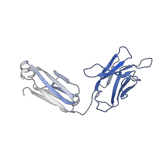 7535_6cnj_J_v1-7
Structure of the 2alpha3beta stiochiometry of the human Alpha4Beta2 nicotinic receptor