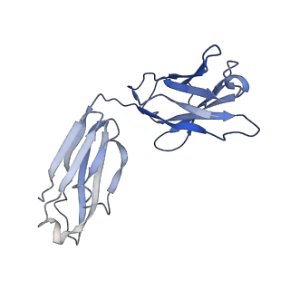 7535_6cnj_K_v1-7
Structure of the 2alpha3beta stiochiometry of the human Alpha4Beta2 nicotinic receptor