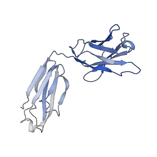 7535_6cnj_K_v2-0
Structure of the 2alpha3beta stiochiometry of the human Alpha4Beta2 nicotinic receptor