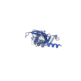 7536_6cnk_A_v1-7
Structure of the 3alpha2beta stiochiometry of the human Alpha4Beta2 nicotinic receptor
