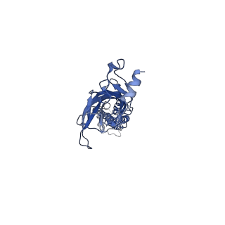 7536_6cnk_B_v1-7
Structure of the 3alpha2beta stiochiometry of the human Alpha4Beta2 nicotinic receptor