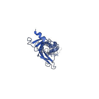 7536_6cnk_C_v1-7
Structure of the 3alpha2beta stiochiometry of the human Alpha4Beta2 nicotinic receptor