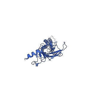 7536_6cnk_D_v1-7
Structure of the 3alpha2beta stiochiometry of the human Alpha4Beta2 nicotinic receptor