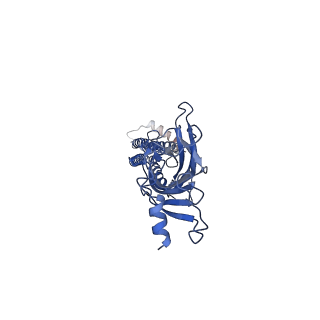 7536_6cnk_E_v1-7
Structure of the 3alpha2beta stiochiometry of the human Alpha4Beta2 nicotinic receptor