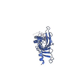 7536_6cnk_E_v2-0
Structure of the 3alpha2beta stiochiometry of the human Alpha4Beta2 nicotinic receptor