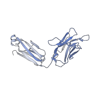 7536_6cnk_F_v1-7
Structure of the 3alpha2beta stiochiometry of the human Alpha4Beta2 nicotinic receptor