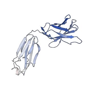 7536_6cnk_G_v1-7
Structure of the 3alpha2beta stiochiometry of the human Alpha4Beta2 nicotinic receptor