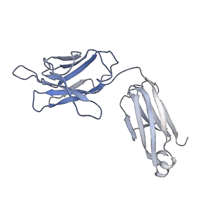 7536_6cnk_J_v1-7
Structure of the 3alpha2beta stiochiometry of the human Alpha4Beta2 nicotinic receptor