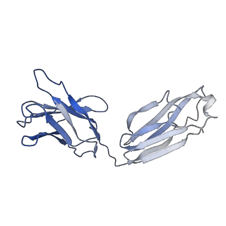 7536_6cnk_K_v1-7
Structure of the 3alpha2beta stiochiometry of the human Alpha4Beta2 nicotinic receptor