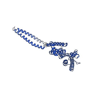 7537_6cnm_A_v1-2
Cryo-EM structure of the human SK4/calmodulin channel complex